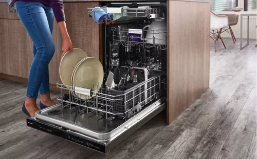 Built-in Dishwashers Repair in Ottawa