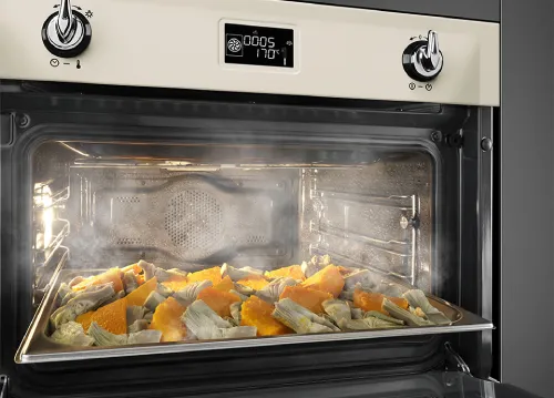 Steam ovens Repair in Ottawa